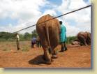 tanzania-kenia-0167