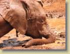 tanzania-kenia-0169