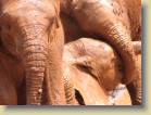 tanzania-kenia-0170