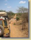 zambia-0012