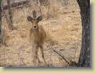 zambia-0015