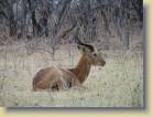 zambia-0017