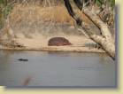 zambia-0018