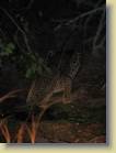 zambia-0021