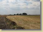 zambia-0023
