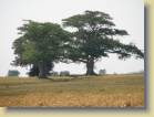 zambia-0033
