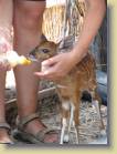 zambia-0040