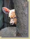 zambia-0041