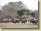 zambia-0043
