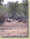 zambia-0048