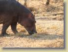 zambia-0051