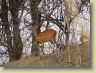 zambia-0057