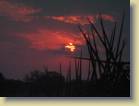 zambia-0058