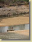 zambia-0065