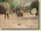 zambia-0066