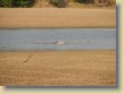 zambia-0068