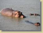 zambia-0069