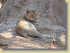 zambia-0070