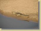 zambia-0071