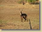 zambia-0076