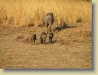zambia-0077