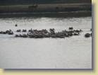 zambia-0079