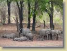 zambia-0082