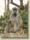zambia-0084