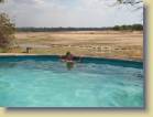 zambia-0085