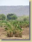zambia-0086