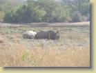 zuid-afrika-0034