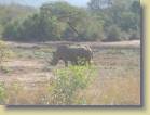 zuid-afrika-0035