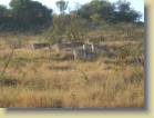 zuid-afrika-0039