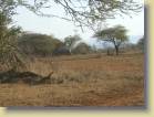 zuid-afrika-0040