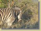 zuid-afrika-0043