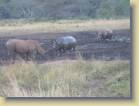 zuid-afrika-0045