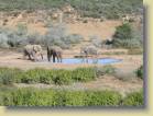 zuid-afrika-0071