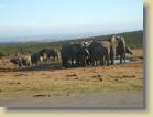zuid-afrika-0075