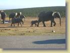 zuid-afrika-0076