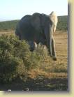 zuid-afrika-0077