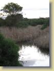 zuid-afrika-0177