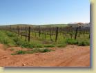 zuid-afrika-0180
