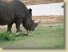 zuid-afrika2-0155